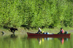 Kanutour Teslin River